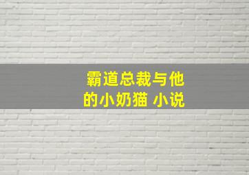 霸道总裁与他的小奶猫 小说